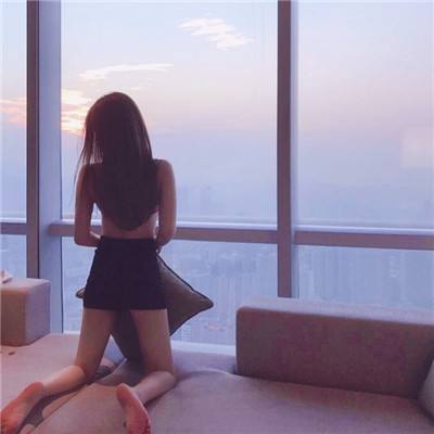 装甲雄狮游戏
